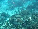 Similan (75)